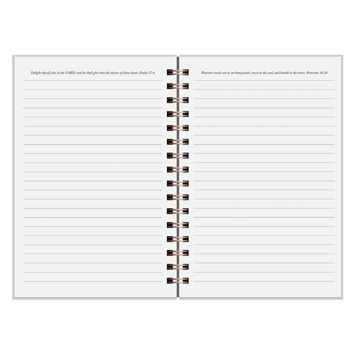 Sister Friends Journal